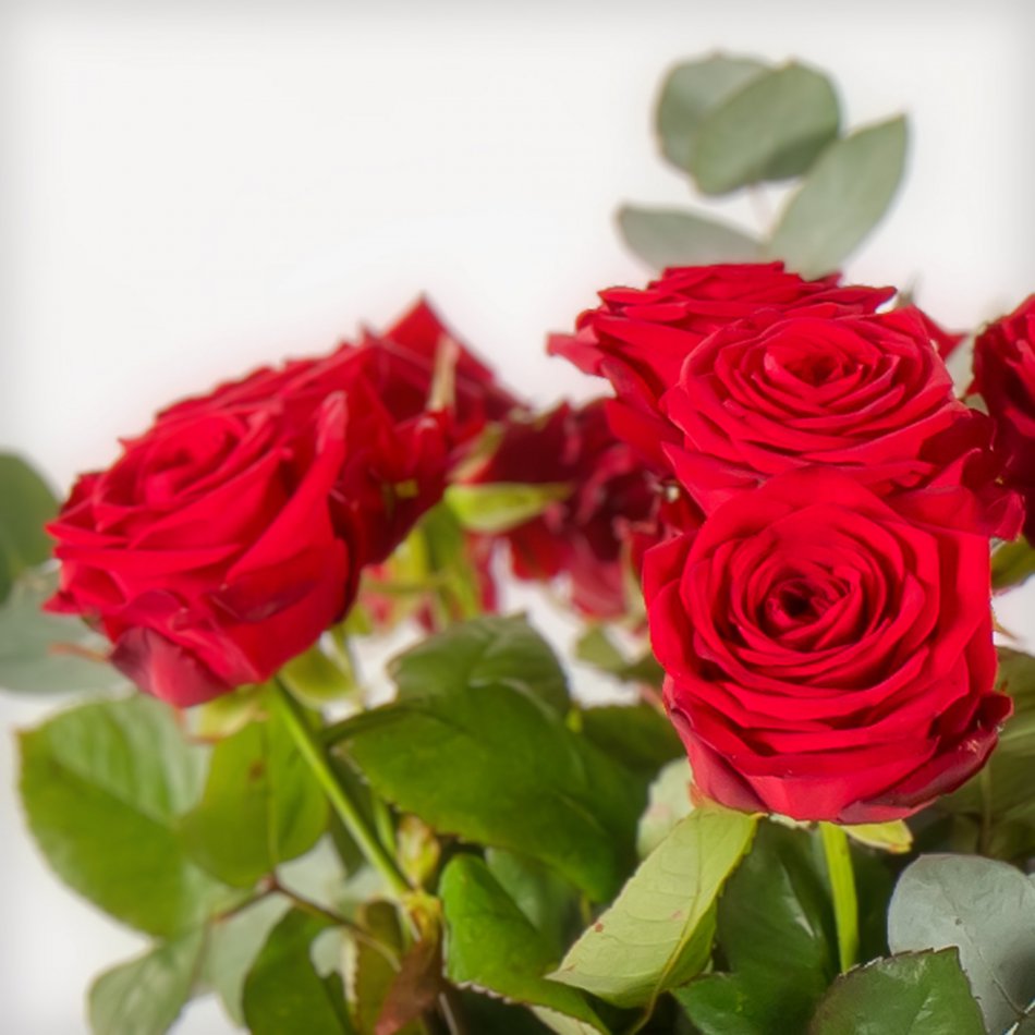 Boeket rode rozen L