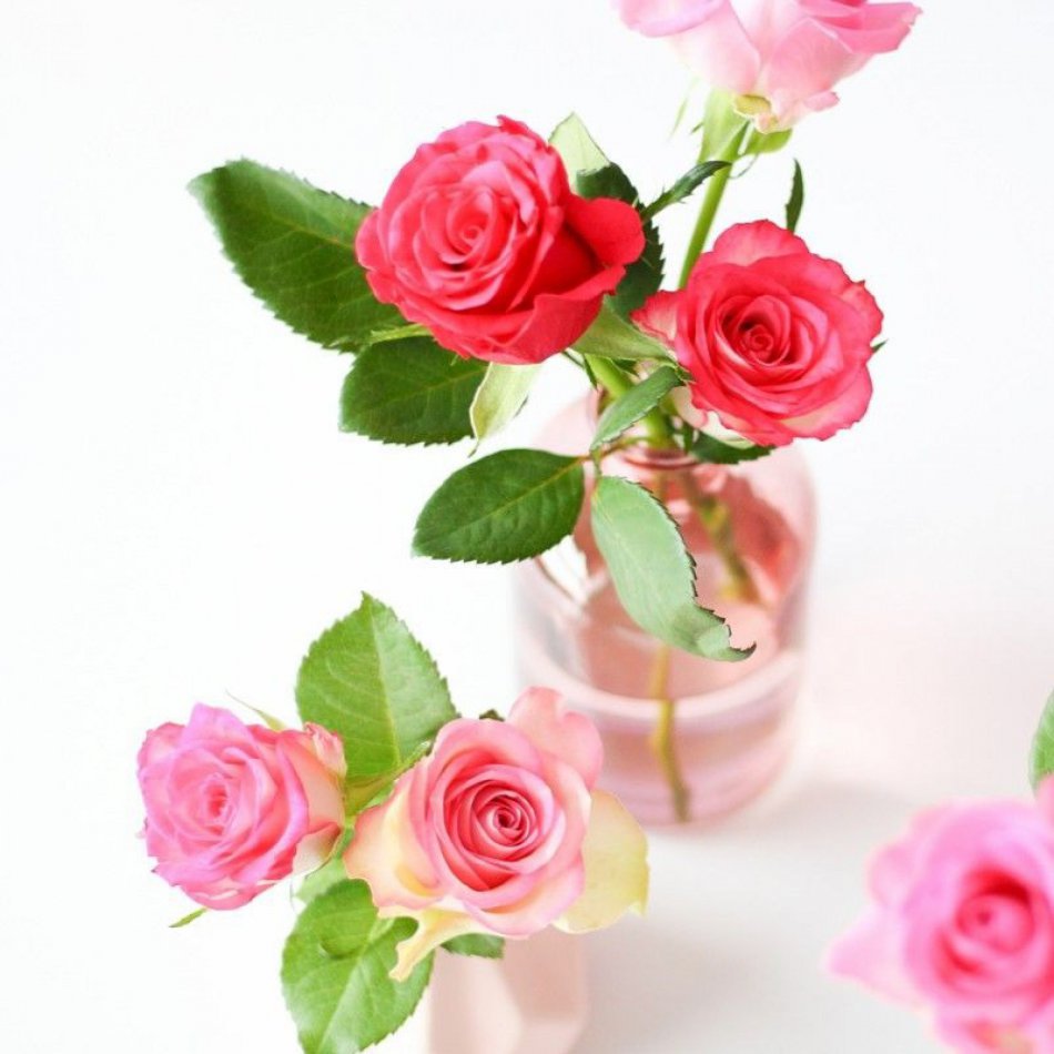 Pretty Pink