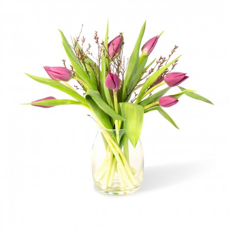 Tulpen Paars brievenbus